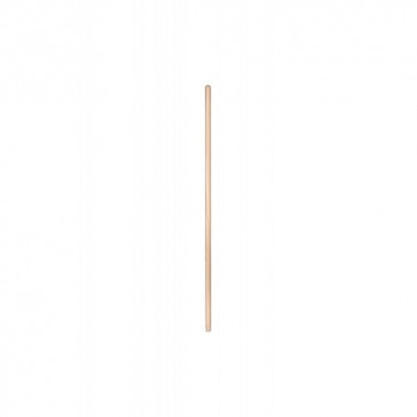 Mango Barrendero 1.2 Metros